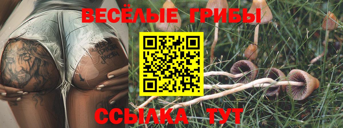 Галлюциногенные грибы Cubensis  Псилоцибиновые грибы Cubensis  где продают   Вход с VPN  Кемерово 